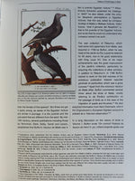 History of Ornithology in Malta