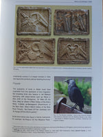 History of Ornithology in Malta