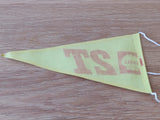 1970s 'Shell 2T' pennant