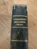 Antique 1835 Italian Medical History Book
