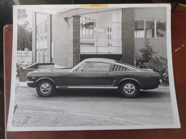 Late 1960s Ford Mustang Photograph